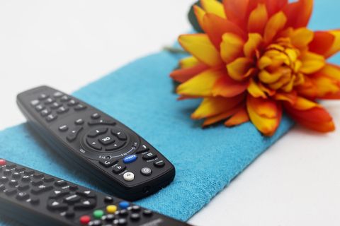 accommodation bnb port elizabeth newtondale 005 accommodation bnb port elizabeth newtondale 005