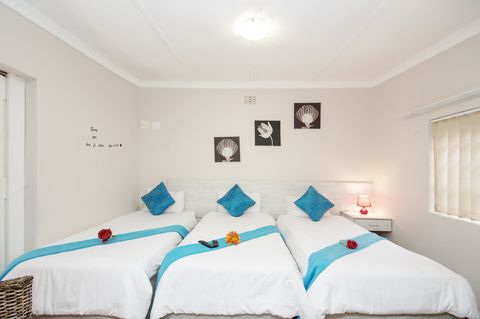 accommodation bnb port elizabeth newtondale 028 accommodation bnb port elizabeth newtondale 028